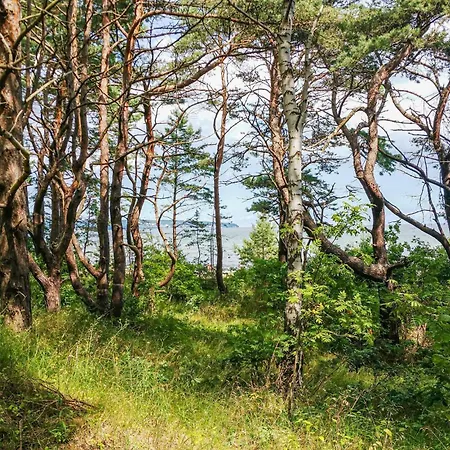 2 Bedroom Stunning In Prora *